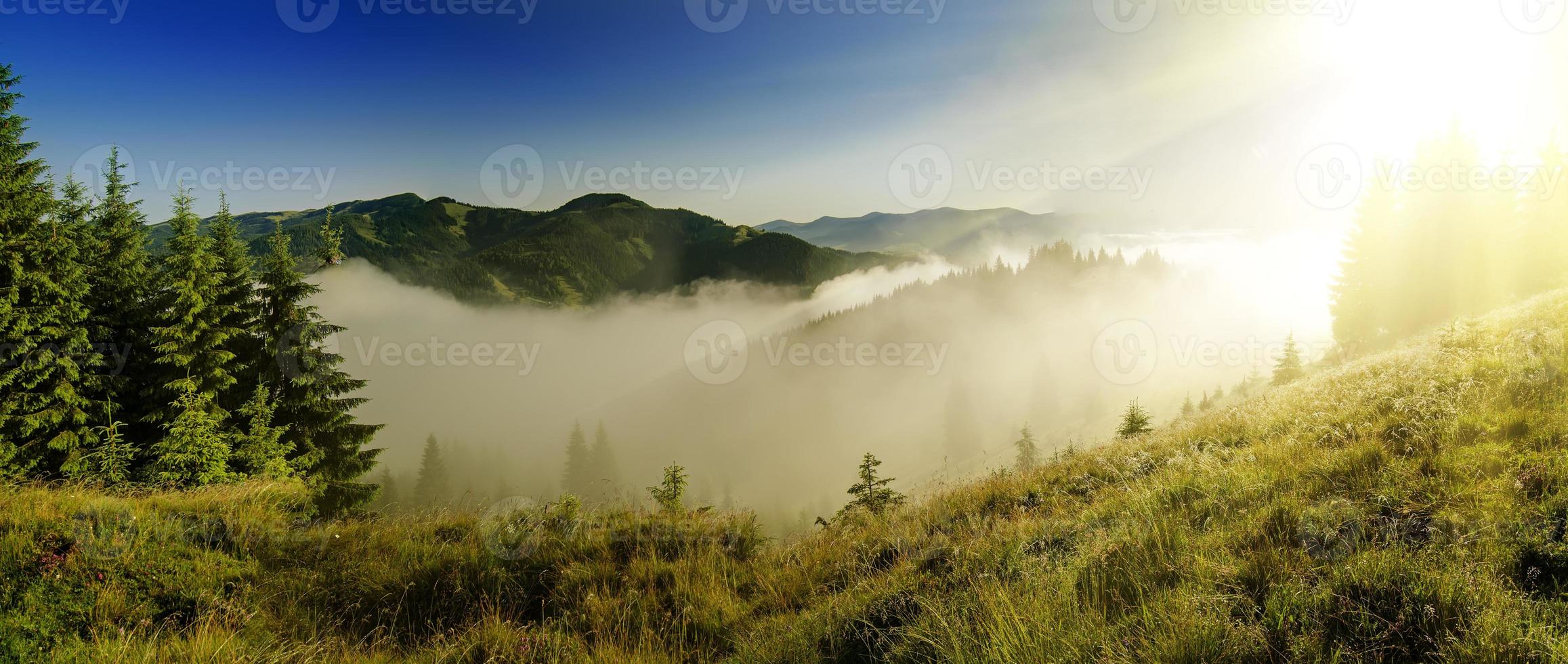 paysage brumeux du matin photo