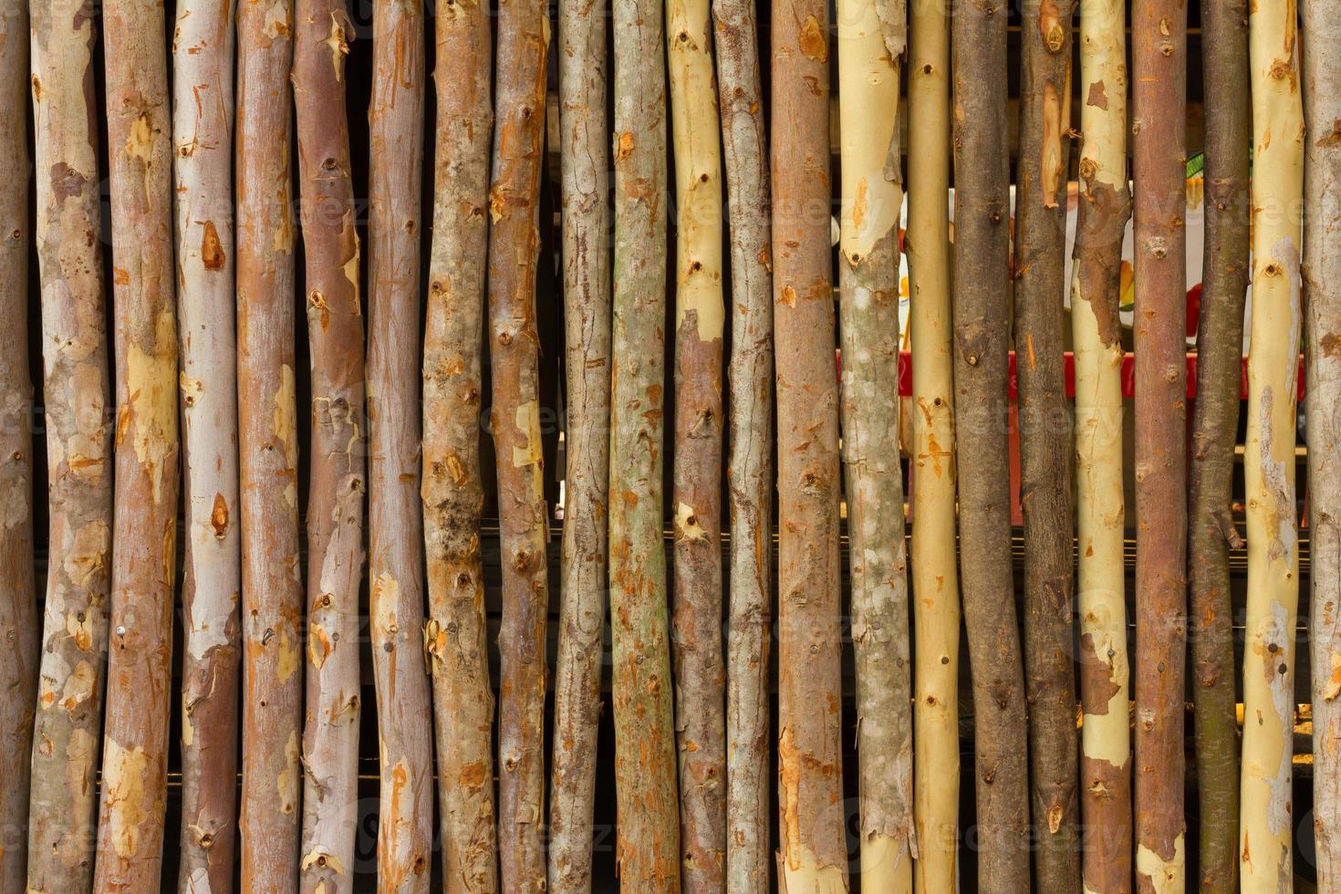 petite clôture eucalyptus photo