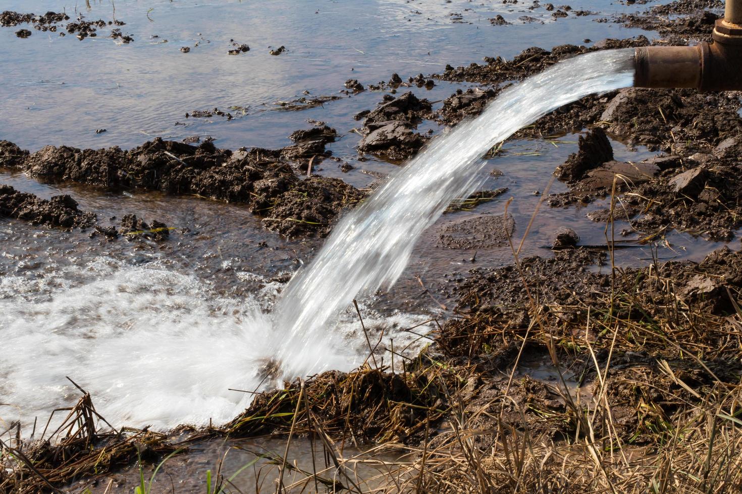 l'eau a jailli dans le sol. photo