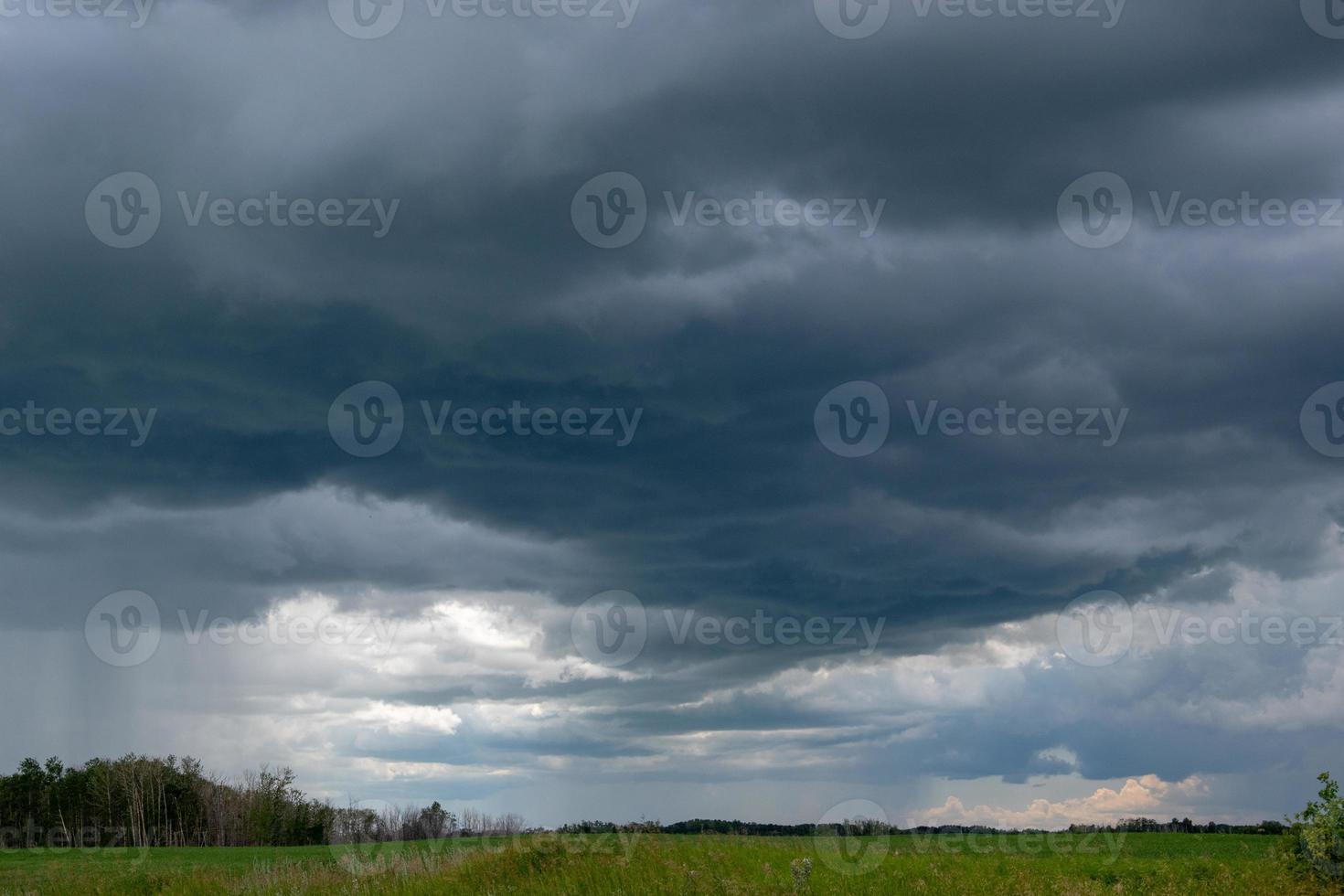 approche des nuages d'orage au-dessus d'un champ de canola, saskatchewan, canada. photo