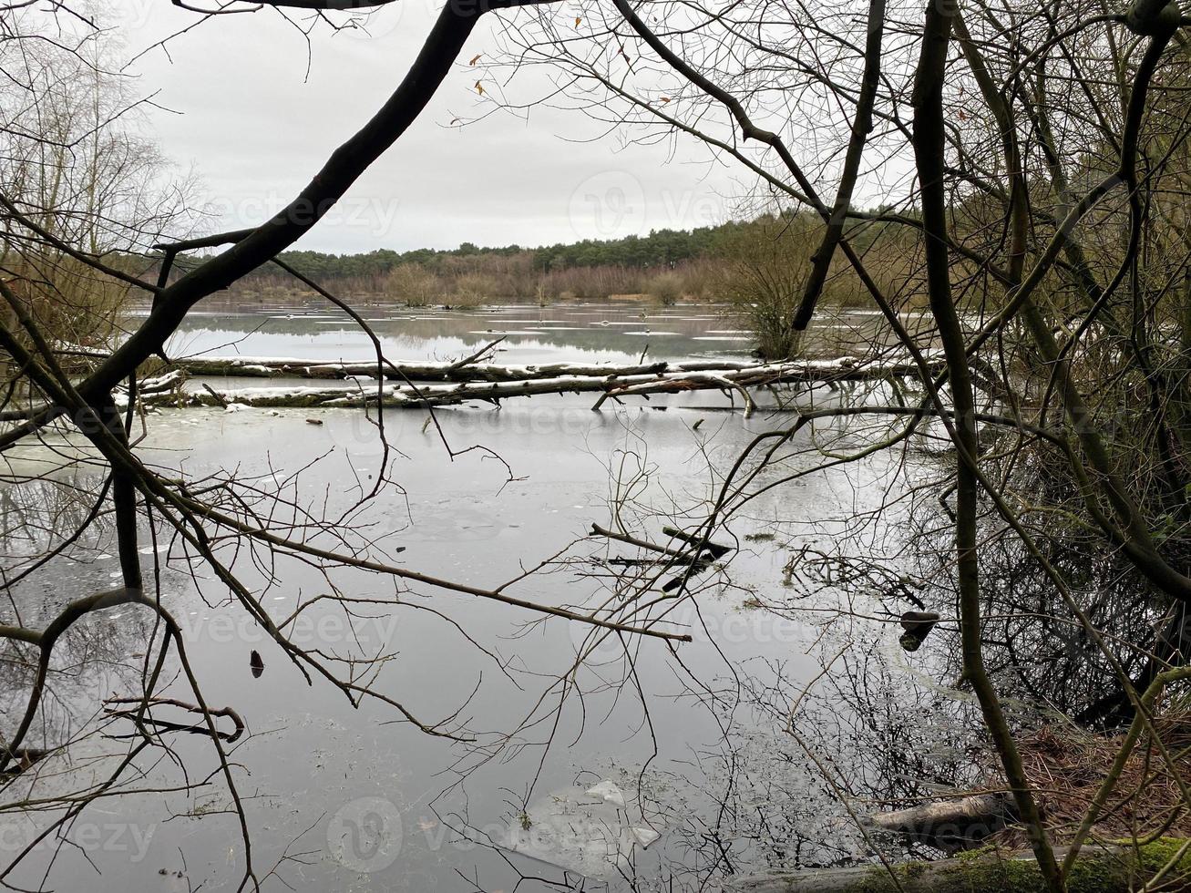 une vue sur la forêt de delamere dans le cheshire en hiver photo