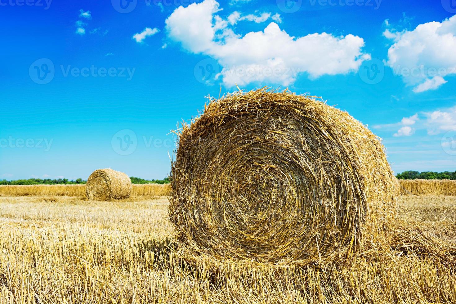 Paysage naturel. champ avec balle de foin sous le ciel bleu photo