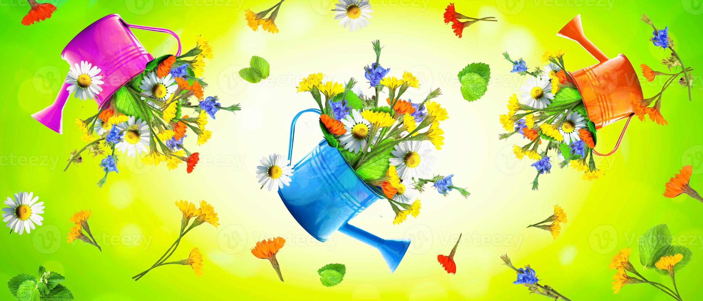 bouquet de fleurs sauvages colorées dans un arrosoir. concept de printemps et de jardinage. photo