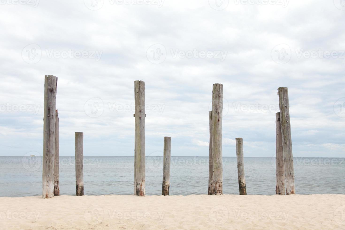rangées de pieux sur la plage de la mer photo