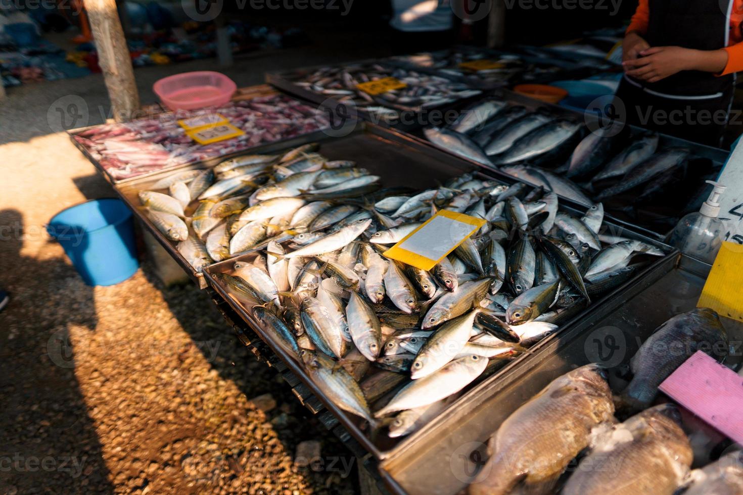 marché aux poissons à krabi, fruits de mer crus dans un marché près de la mer tropicale photo