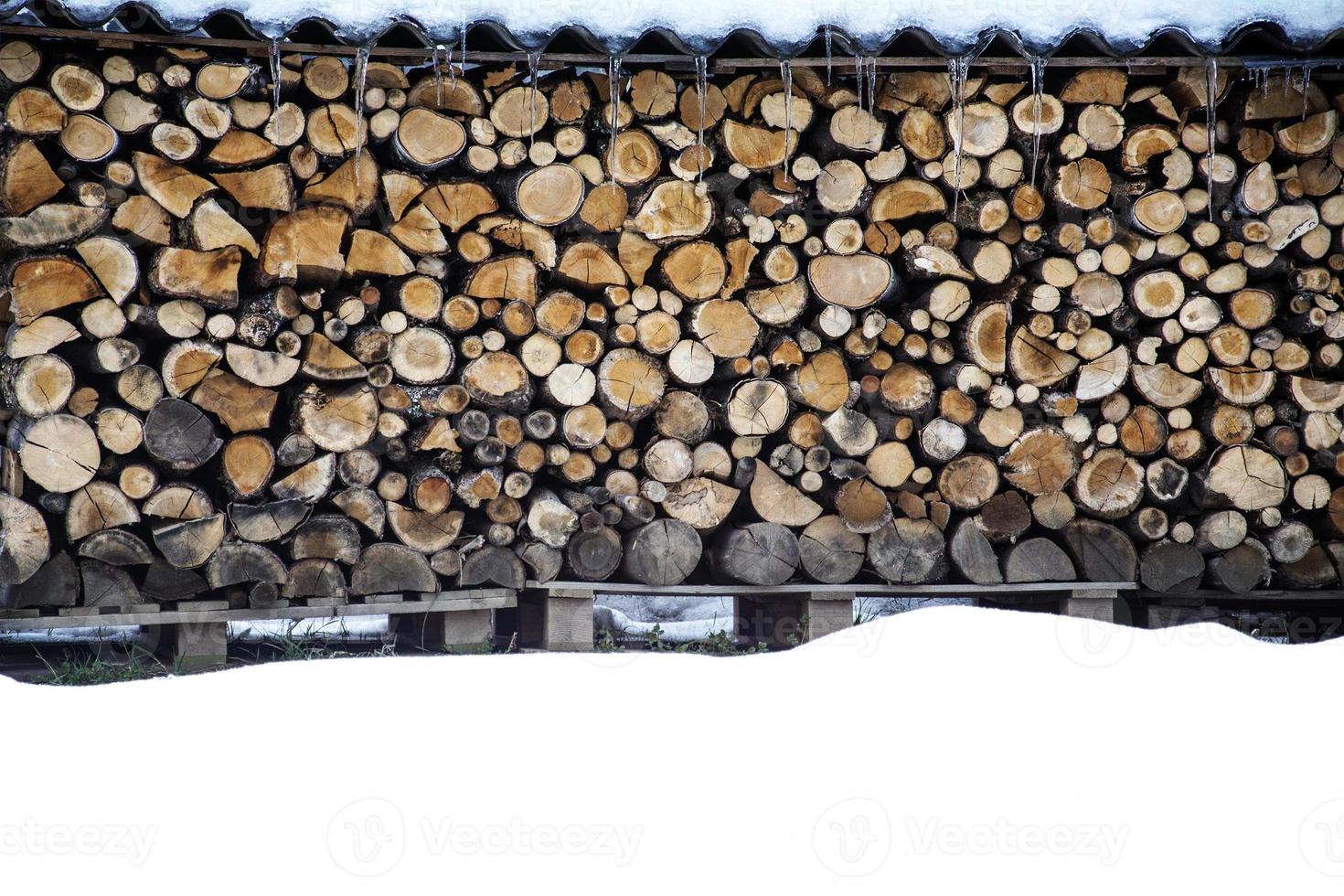 tas de bois en hiver photo