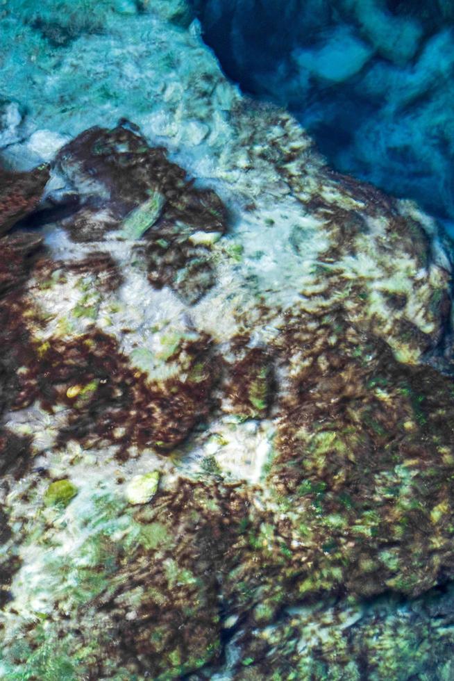 eau bleu turquoise grotte calcaire gouffre cenote tajma ha mexico. photo