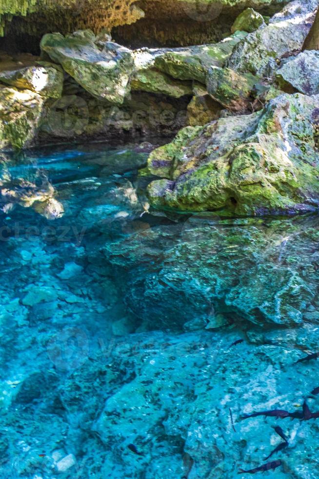 eau bleu turquoise grotte calcaire gouffre cenote tajma ha mexico. photo