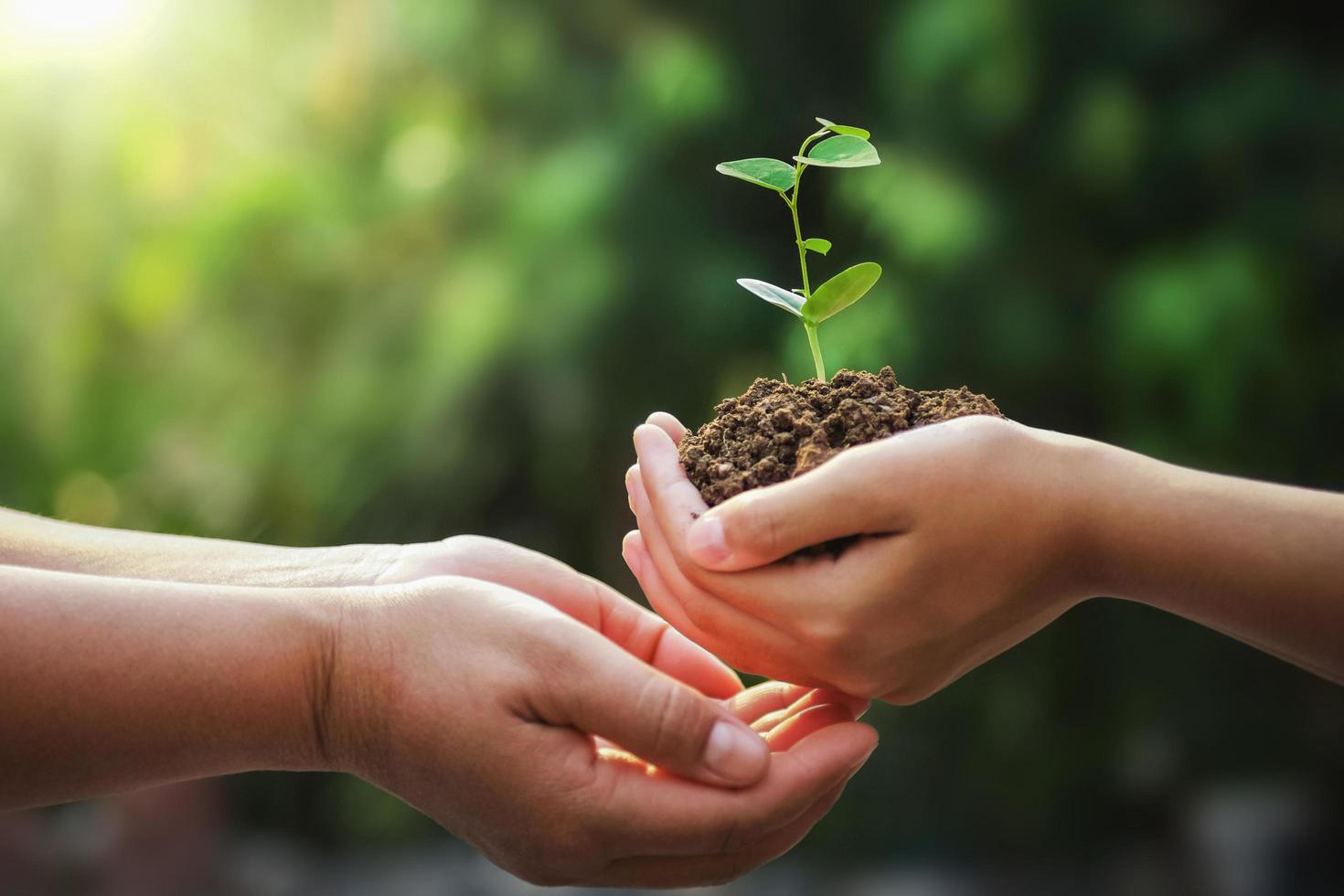 main de la mère et des enfants tenant un jeune arbre à planter le jour de la terre photo