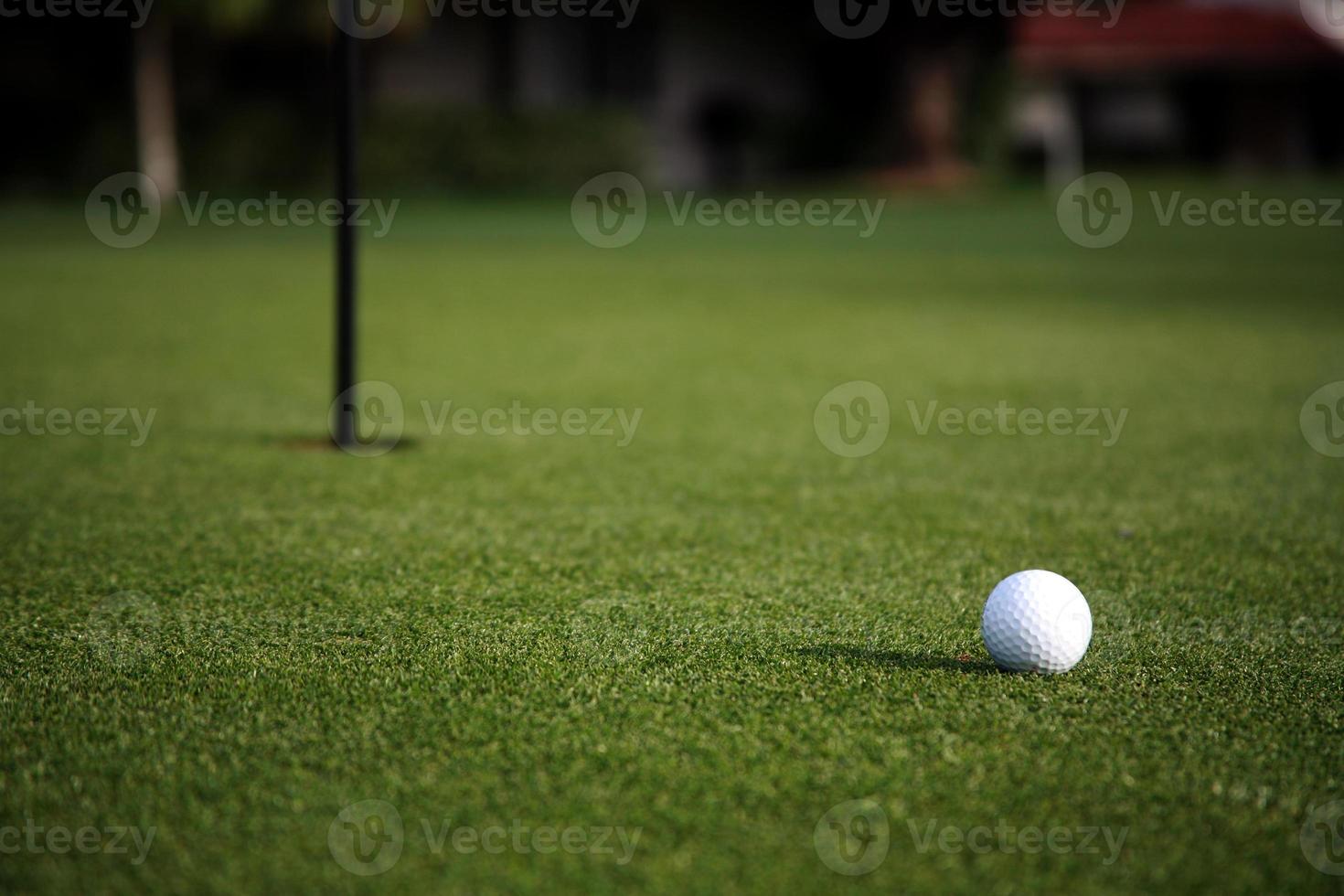 balle de golf sur le green photo