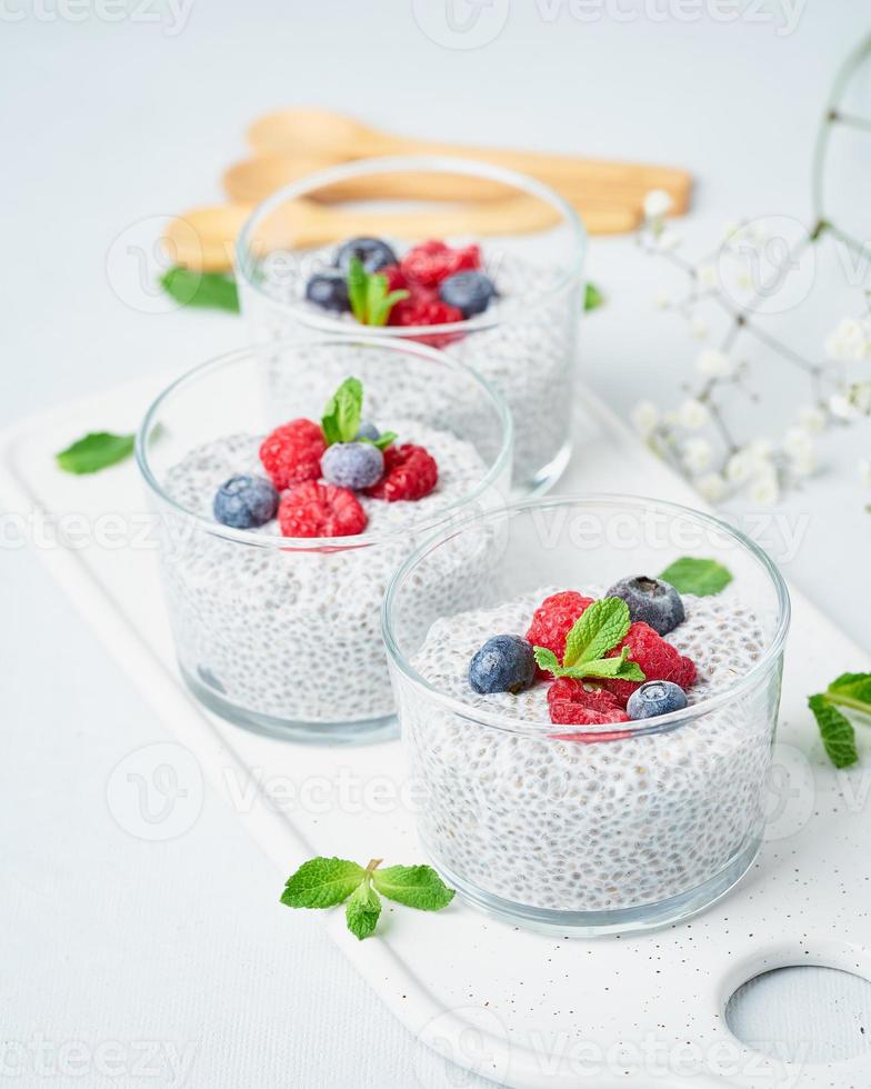 bannière avec pudding de chia dans un bol avec des baies fraîches framboises, myrtilles. photo