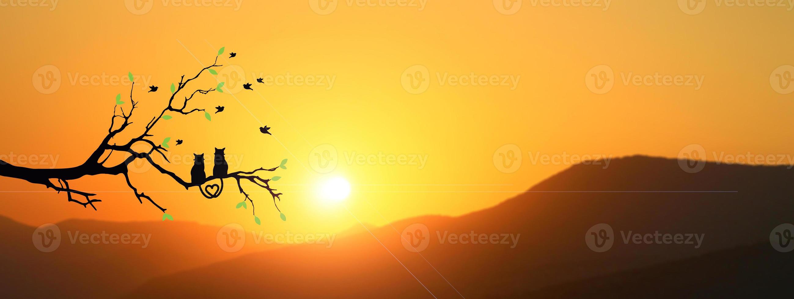 silhouette d'un couple de chat sur une branche, belle vue. concept d'amour, de couple, de bonheur photo