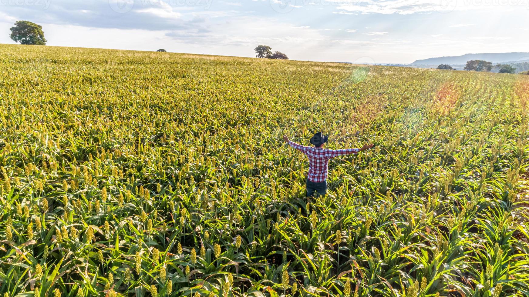 la liberté de l'agriculteur brésilien se tient à la ferme verte avec gratitude. photo