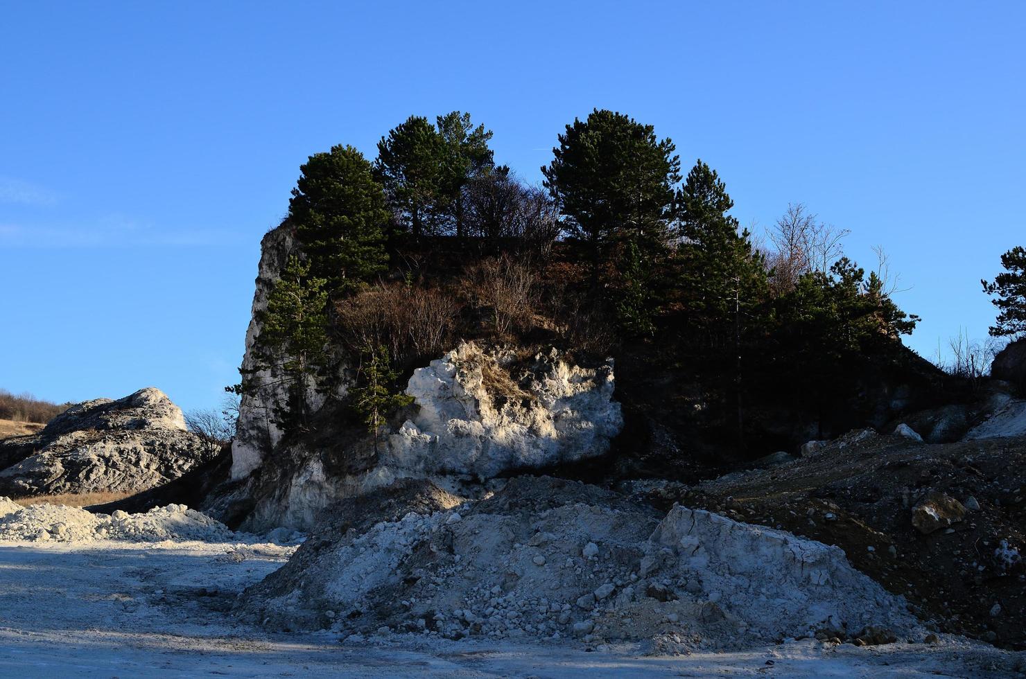 arbres le long des falaises de craie blanche photo