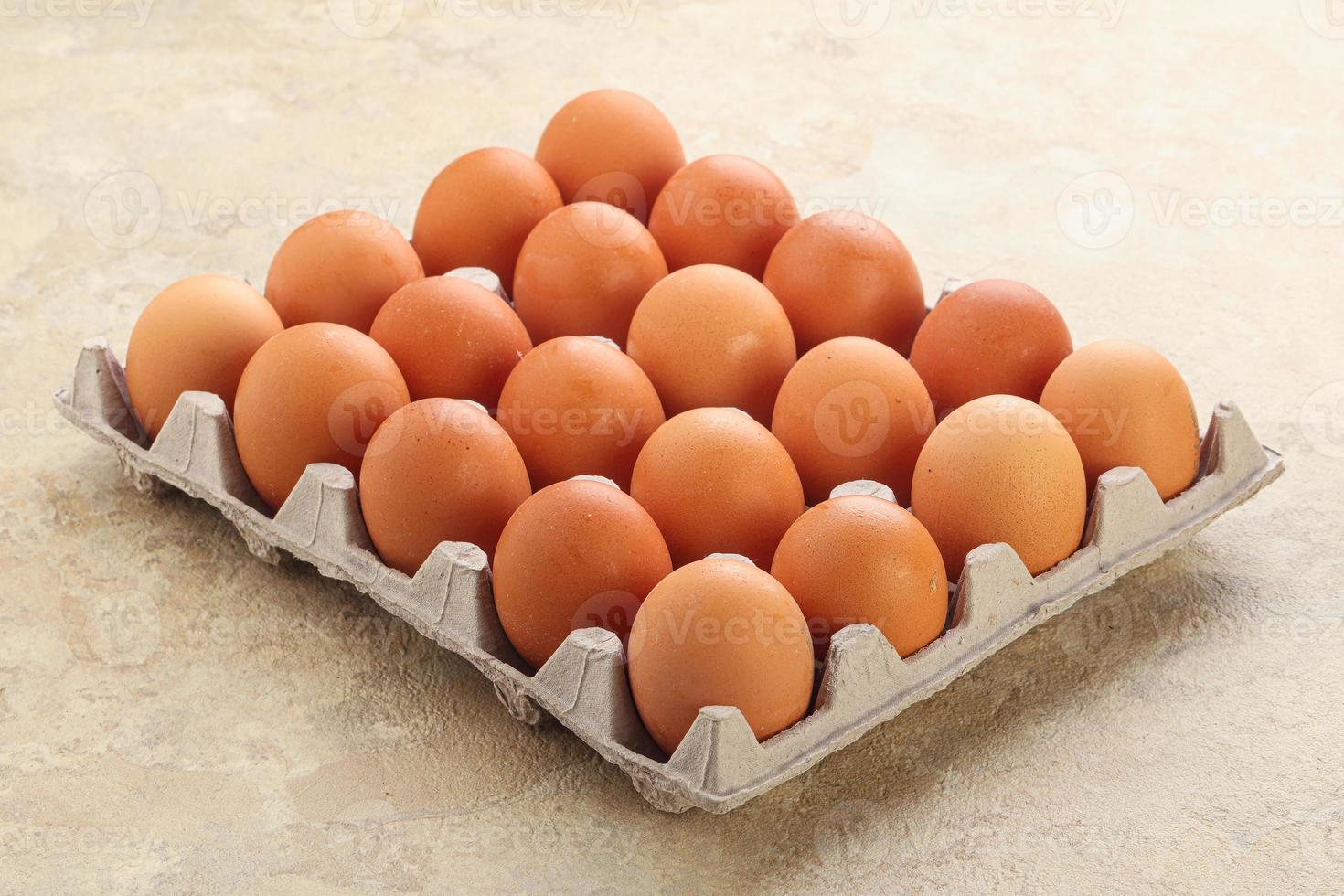 œuf de poule biologique dans le carton photo