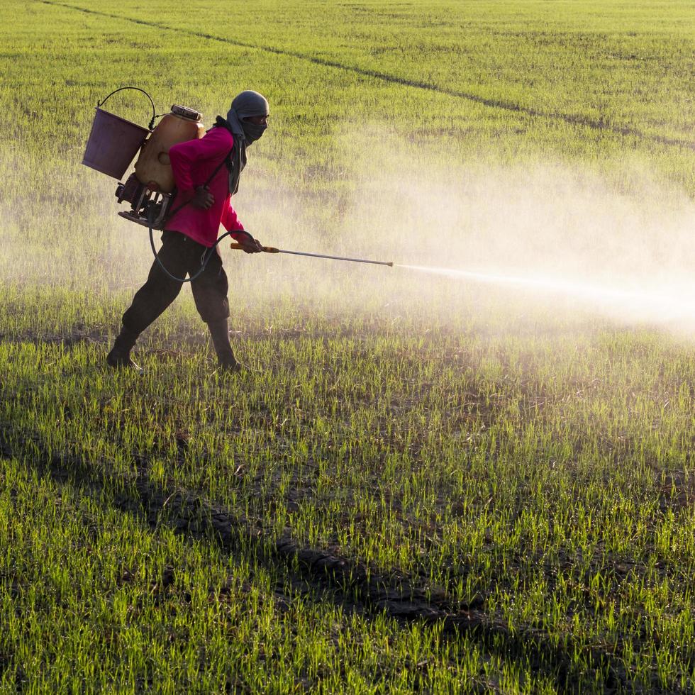 agriculteur pulvérisant des herbicides. photo