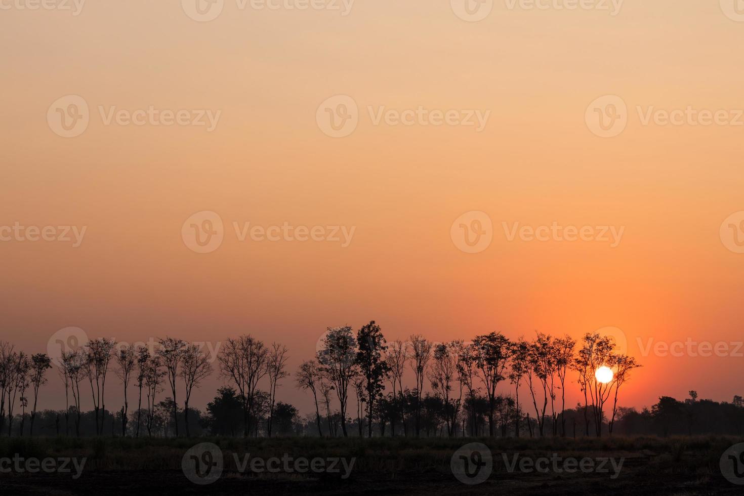 dimanche matin à la campagne. photo