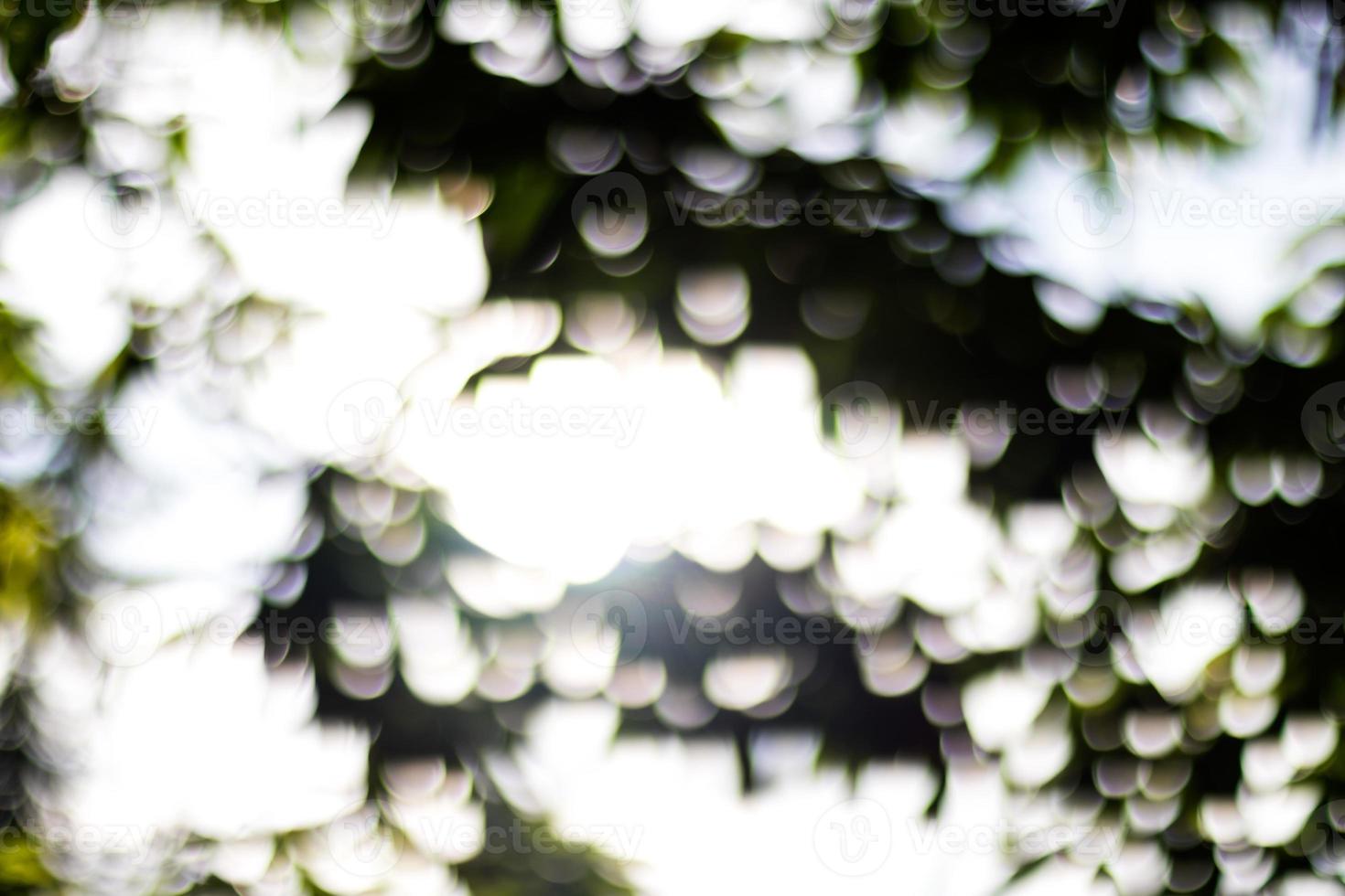 fond bokeh feuilles vert clair. photo