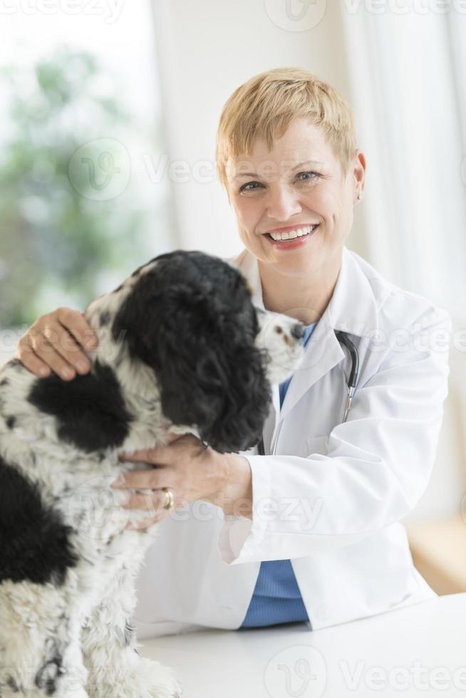 heureux, vétérinaire, examen, chien photo