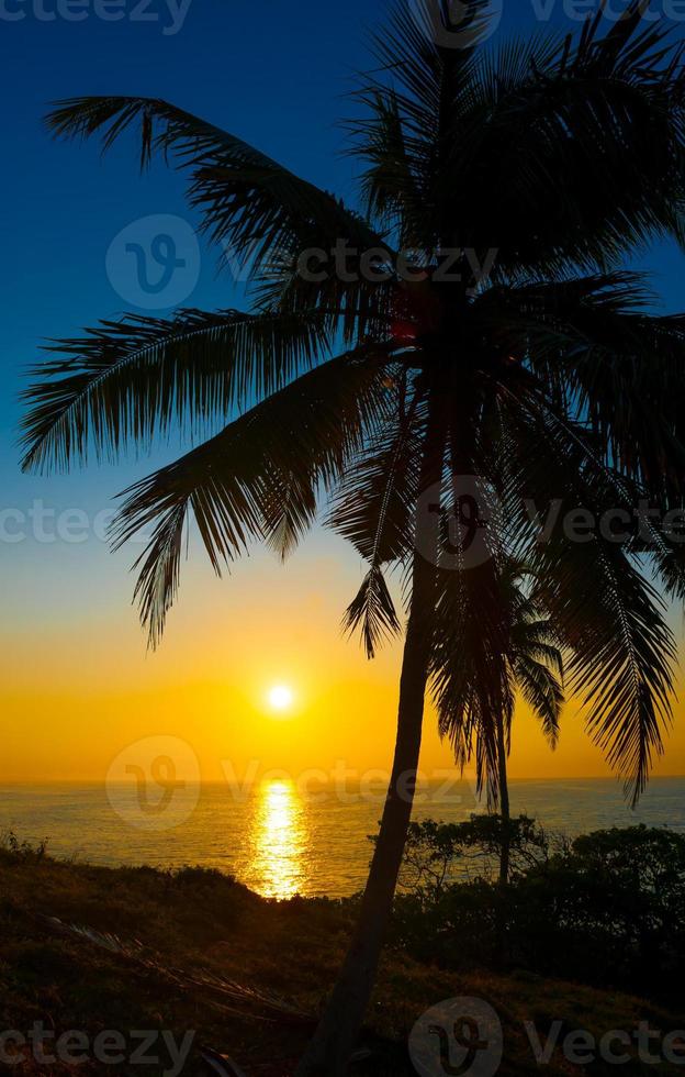 beau coucher de soleil tropical photo