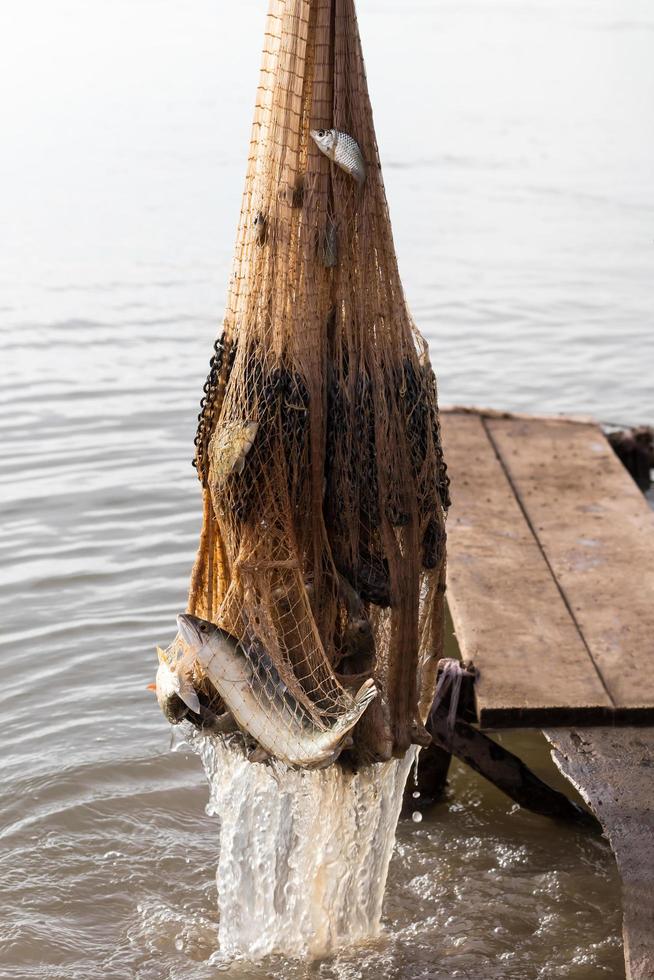 de nombreux poissons suspendus en maille de chaîne. photo