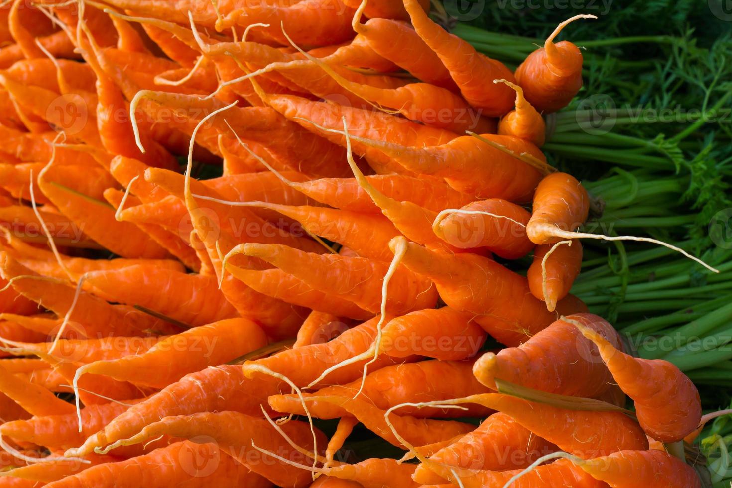 bouquet de carottes vendu. photo