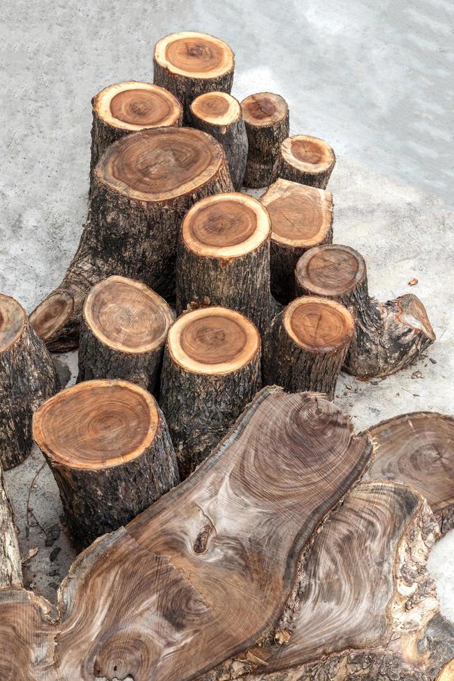 les bûches de nombreuses forêts tropicales sur le sol en béton. photo