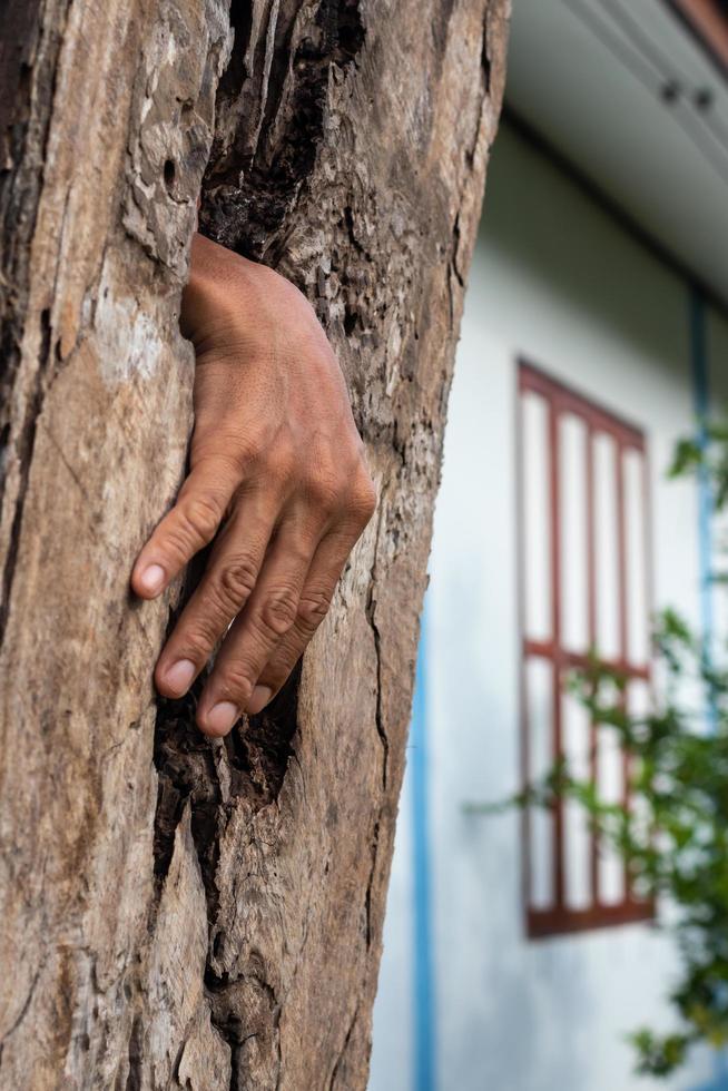 une main a émergé d'un trou en bois près de la maison. photo