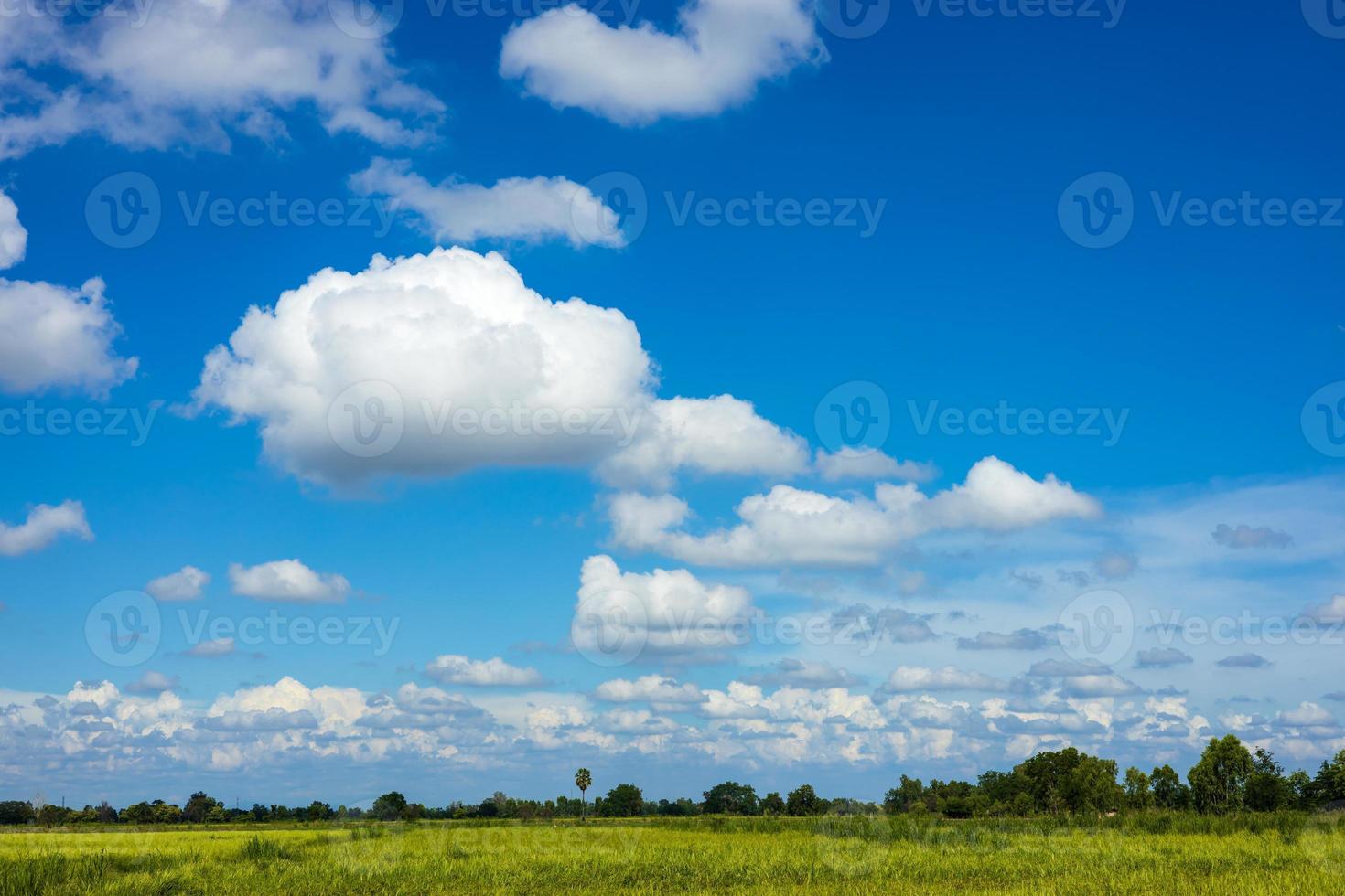 des nuages blancs moelleux dérivent dans le ciel au-dessus des rizières vertes. photo