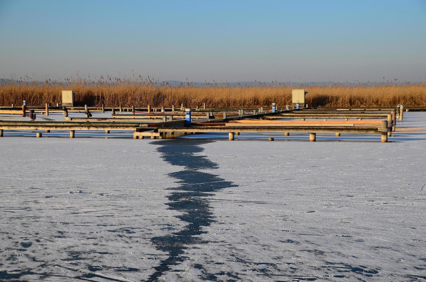 fissure dans le lac gelé avec des roseaux photo