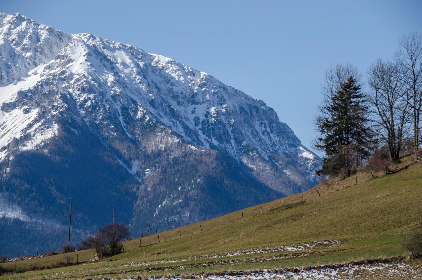 neige et verts pâturages photo