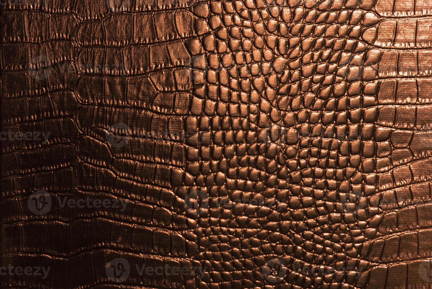 texture de cuir de crocodile photo