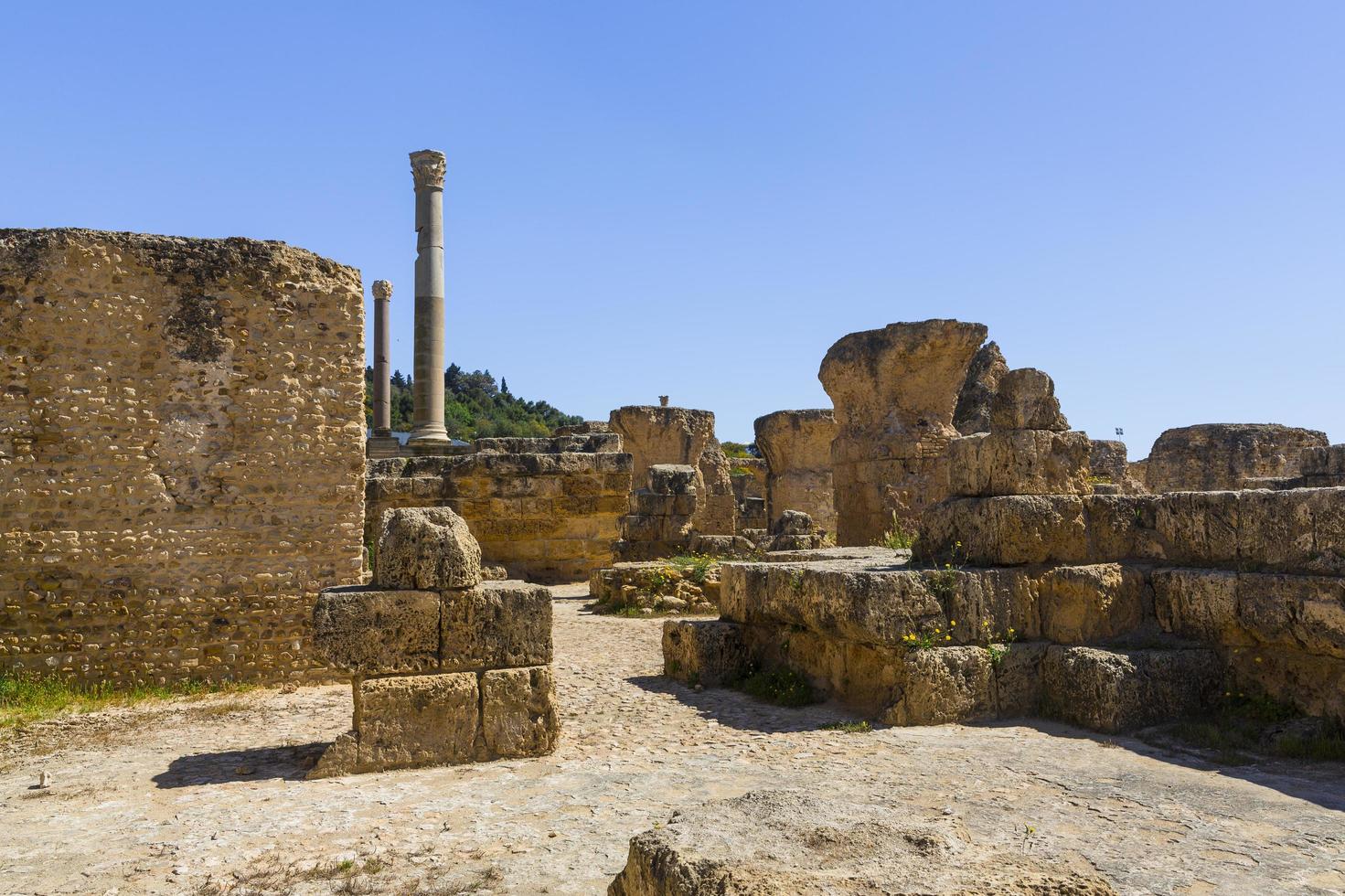 vieilles ruines de carthage photo