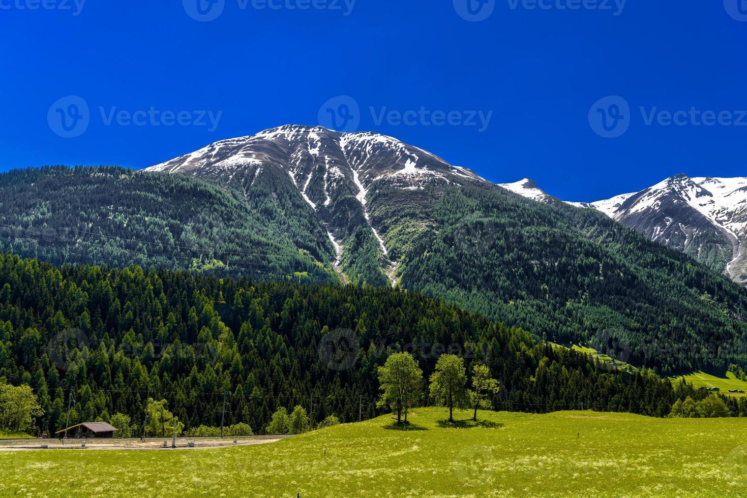 montagnes alpines avec forêt et champs, fiesch, goms, vala, vala photo