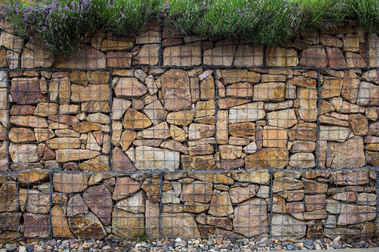 mur de gabions avec décoration de plans à l'extérieur photo