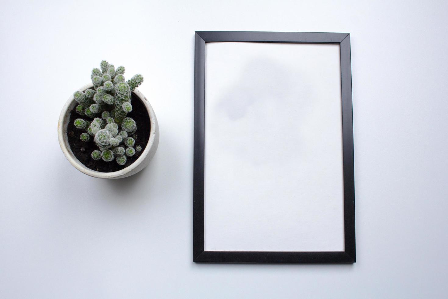 vue de dessus du cadre photo sur tableau blanc avec décoration végétale