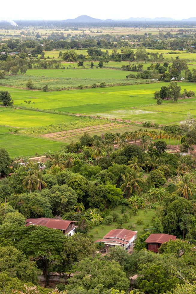 au-dessus de la forêt dans le village et les rizières verdoyantes. photo