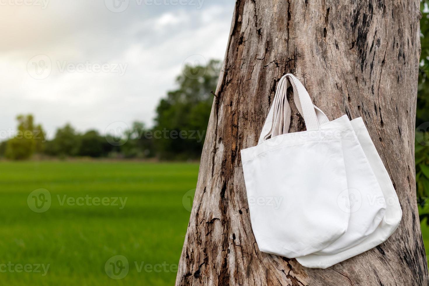 de nombreux sacs en tissu suspendus avec des souches en décomposition. photo