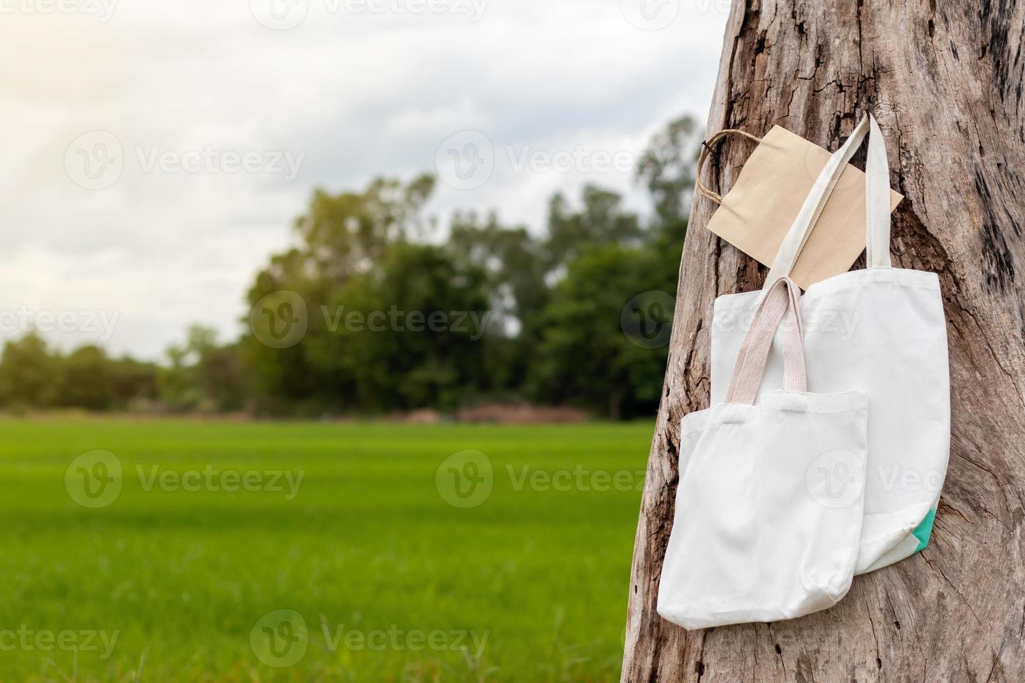 sacs en tissu et papier suspendu avec des souches en décomposition. photo