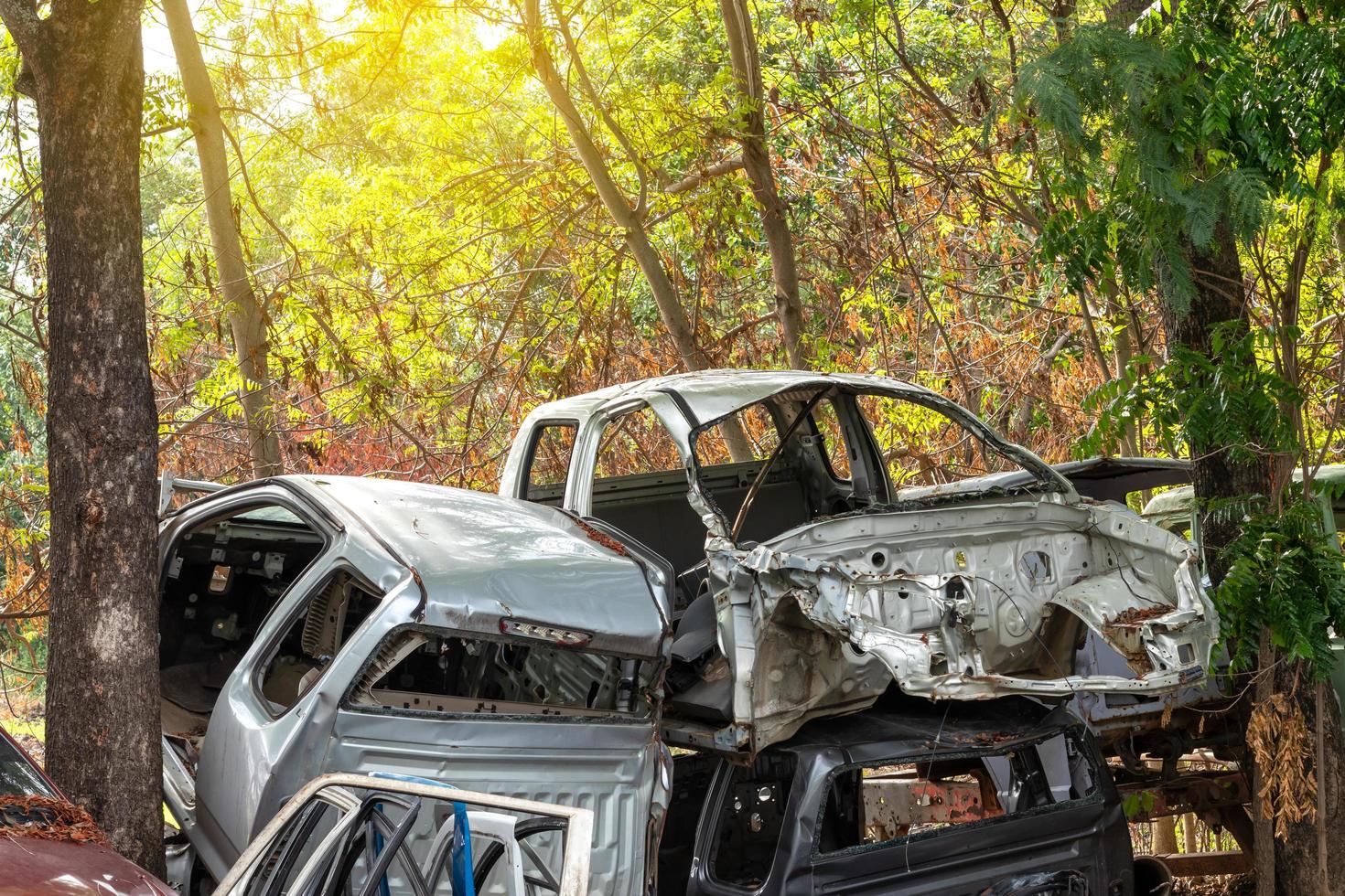 épave de voiture avec des arbres. photo