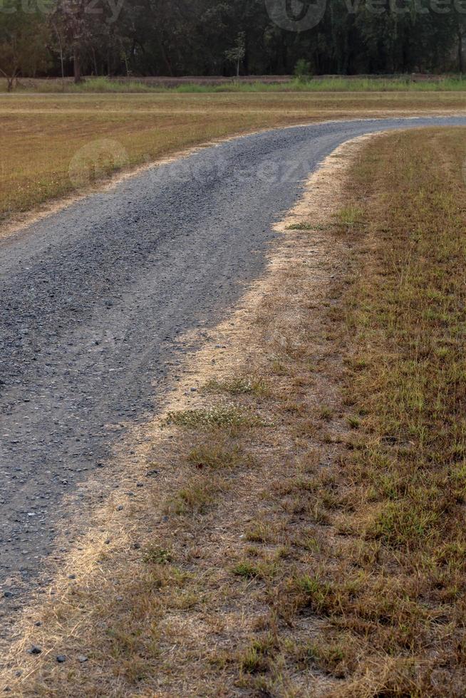 route de pierre écrasée d'herbe sèche. photo