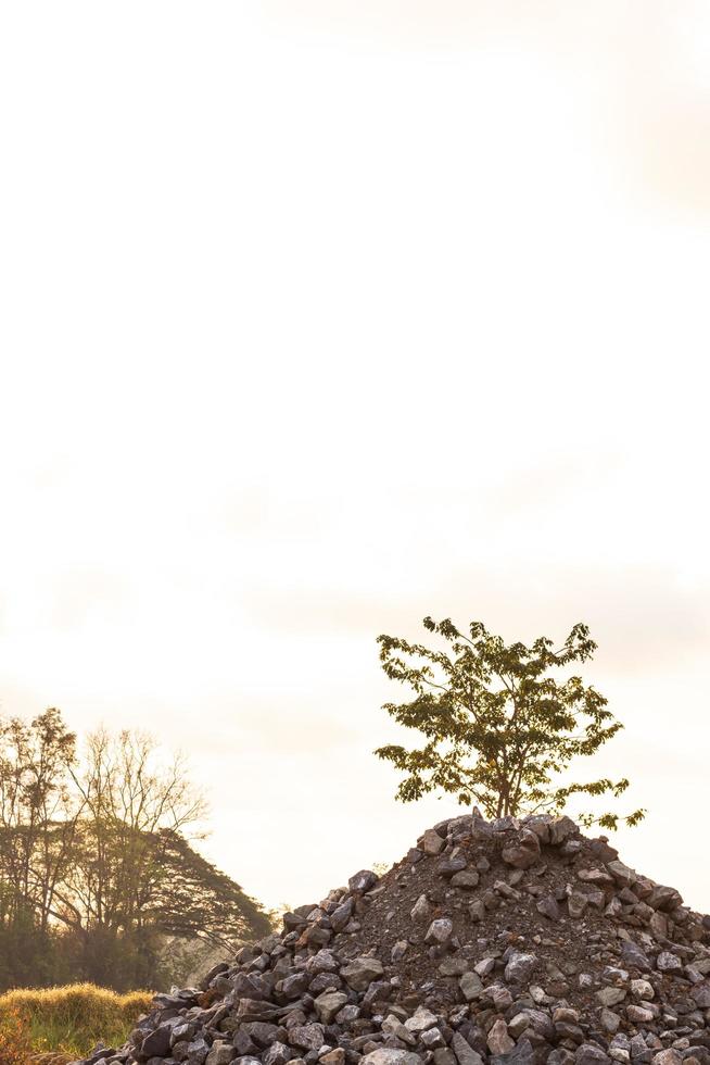 un tas de blocs de granit et d'arbres. photo