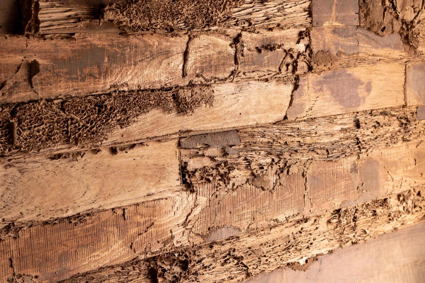 les vieux murs en bois se sont décomposés à cause de la consommation de termites. photo