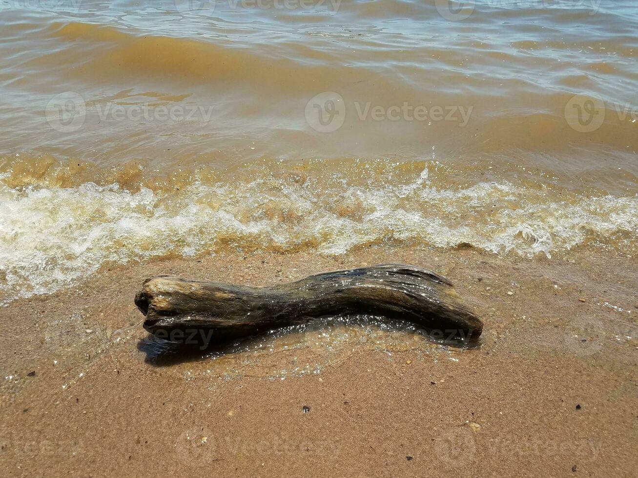 sable avec vagues et rochers et bois flotté photo