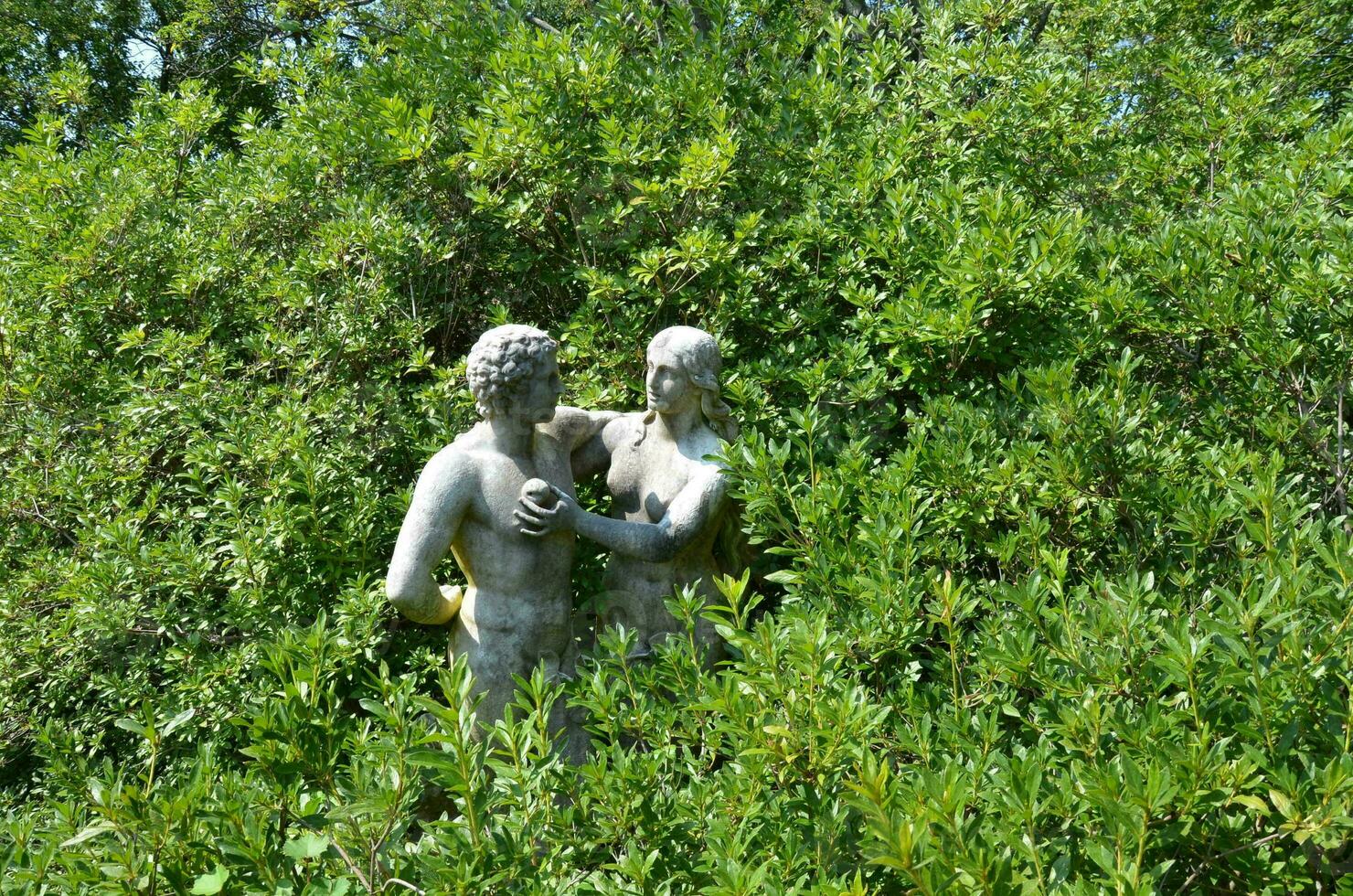 statue d'adam et eve avec pomme et plantes vertes photo