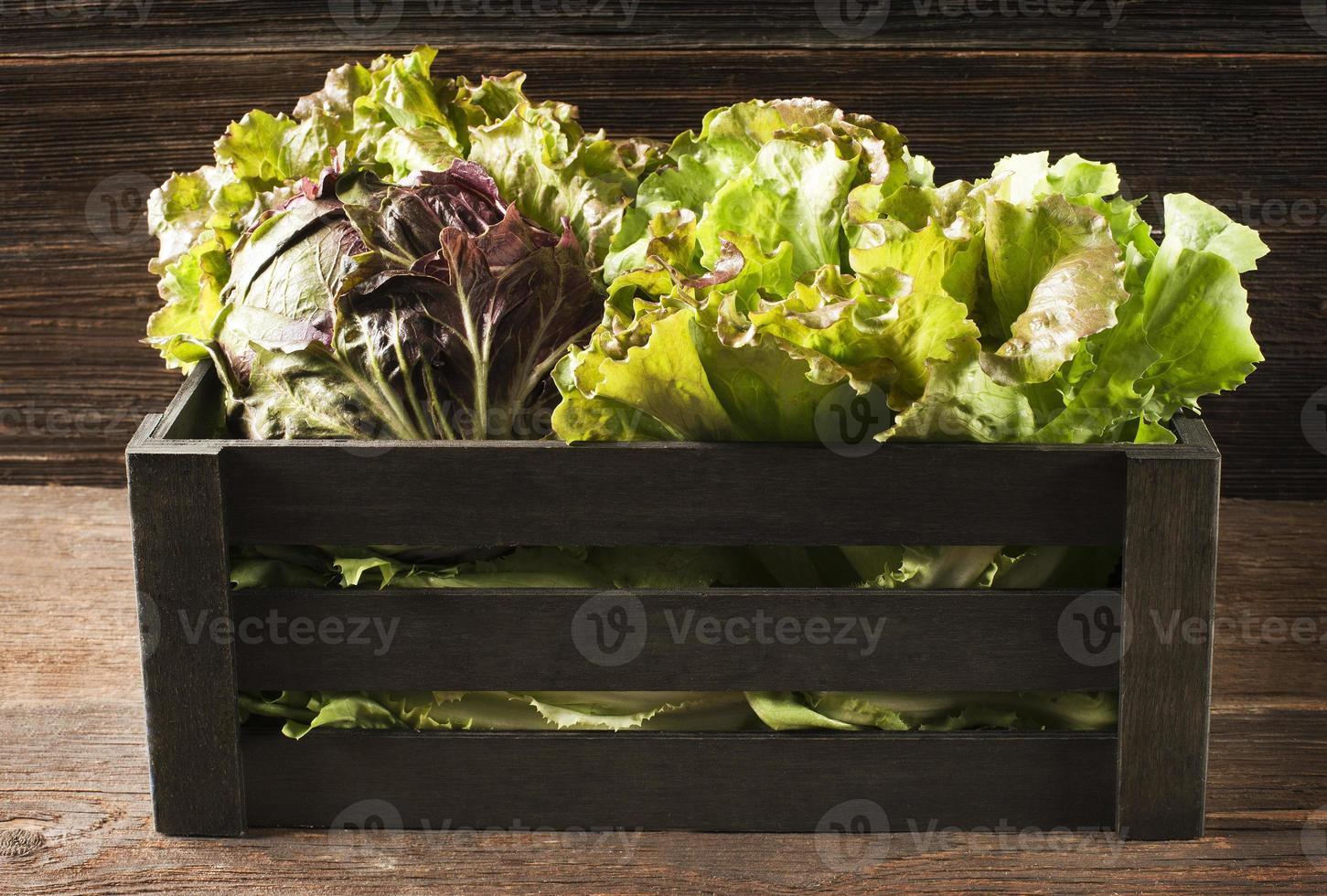 salade en boite photo