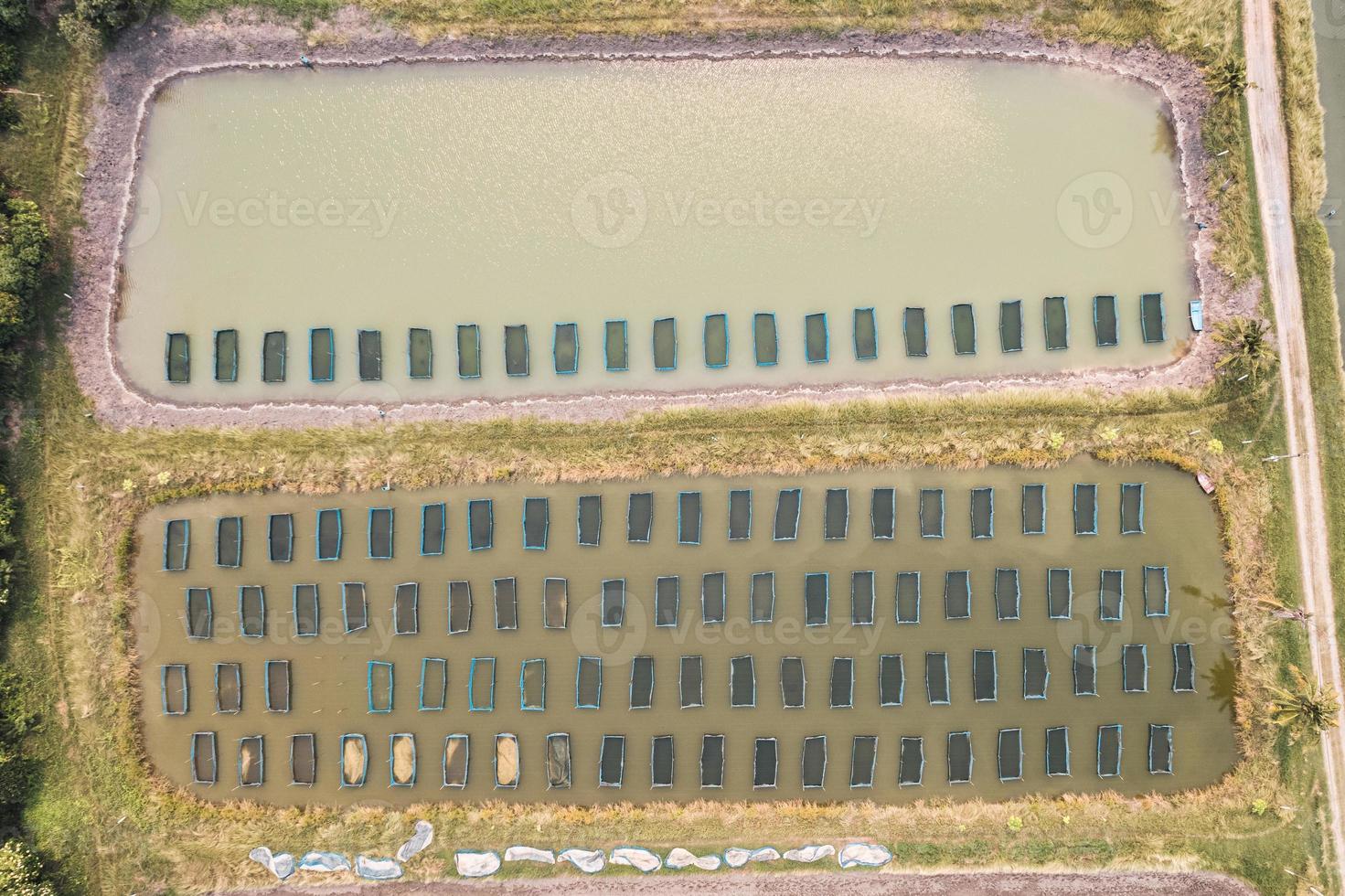 cage à poissons flottant dans un étang d'eau douce, industrie de la pêche photo