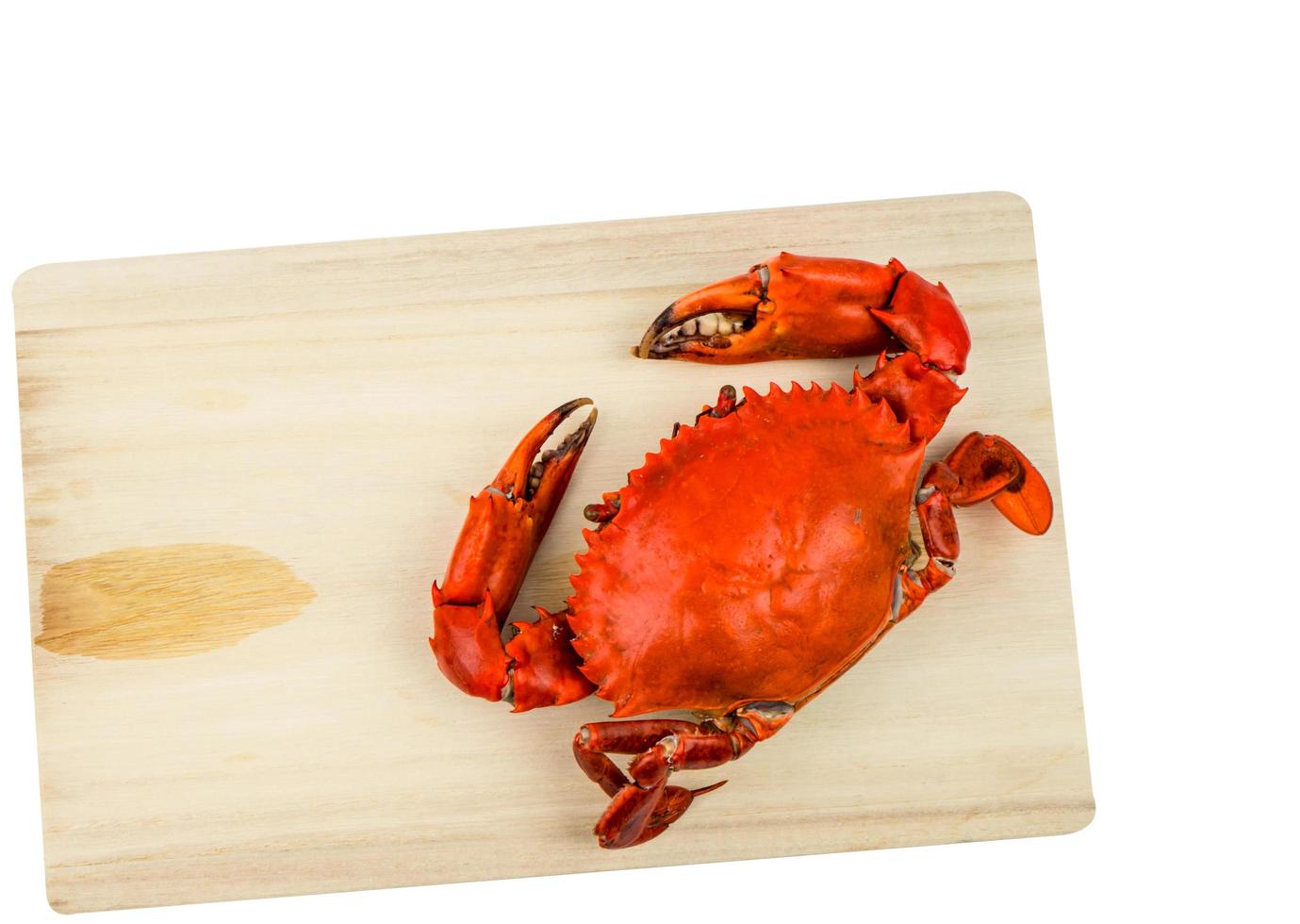 vue de dessus de scylla serrata. un crabe cuit à la vapeur sur une planche à découper en bois isolé sur fond blanc avec espace de copie. concept de restaurants de fruits de mer. photo