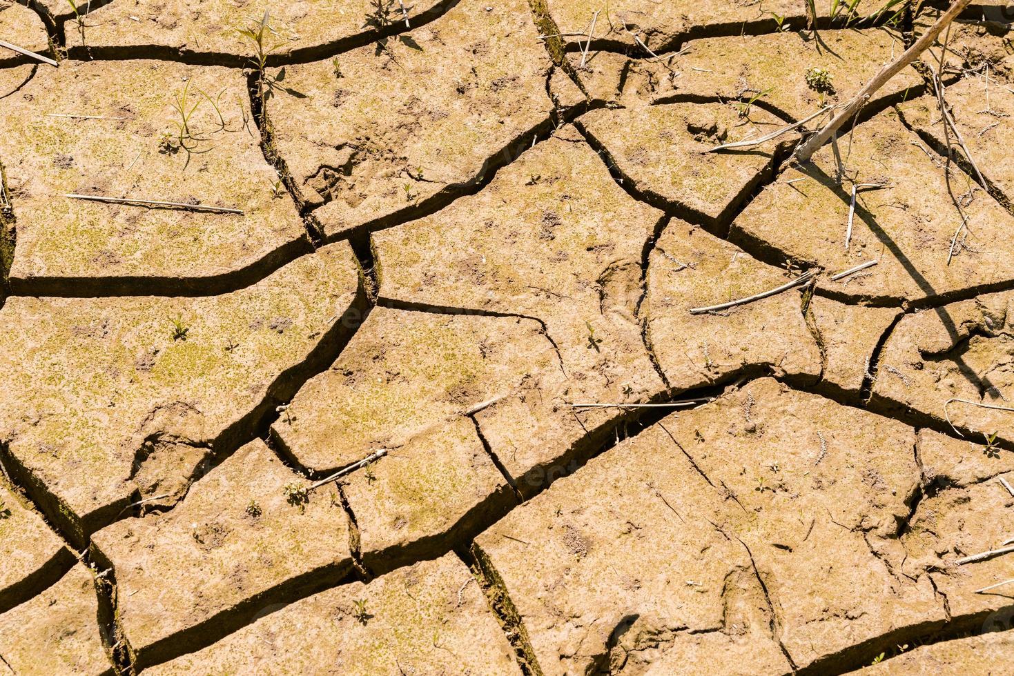 image de fond de terre sèche avec des fissures. photo