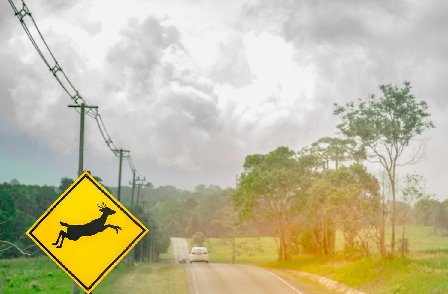 voiture suv bleue du touriste conduisant avec prudence pendant le voyage sur la route goudronnée près du panneau de signalisation jaune avec des cerfs sautant à l'intérieur du panneau photo